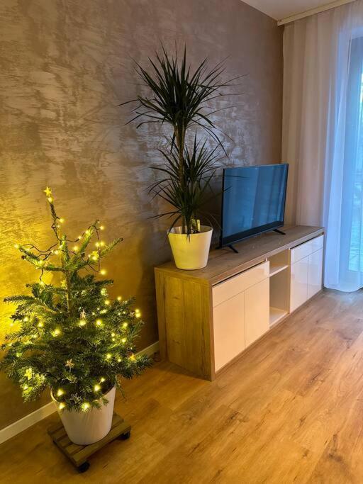 Apartman Betula-Apartman V Srdci Vysokych Tatier Високі Татри Екстер'єр фото